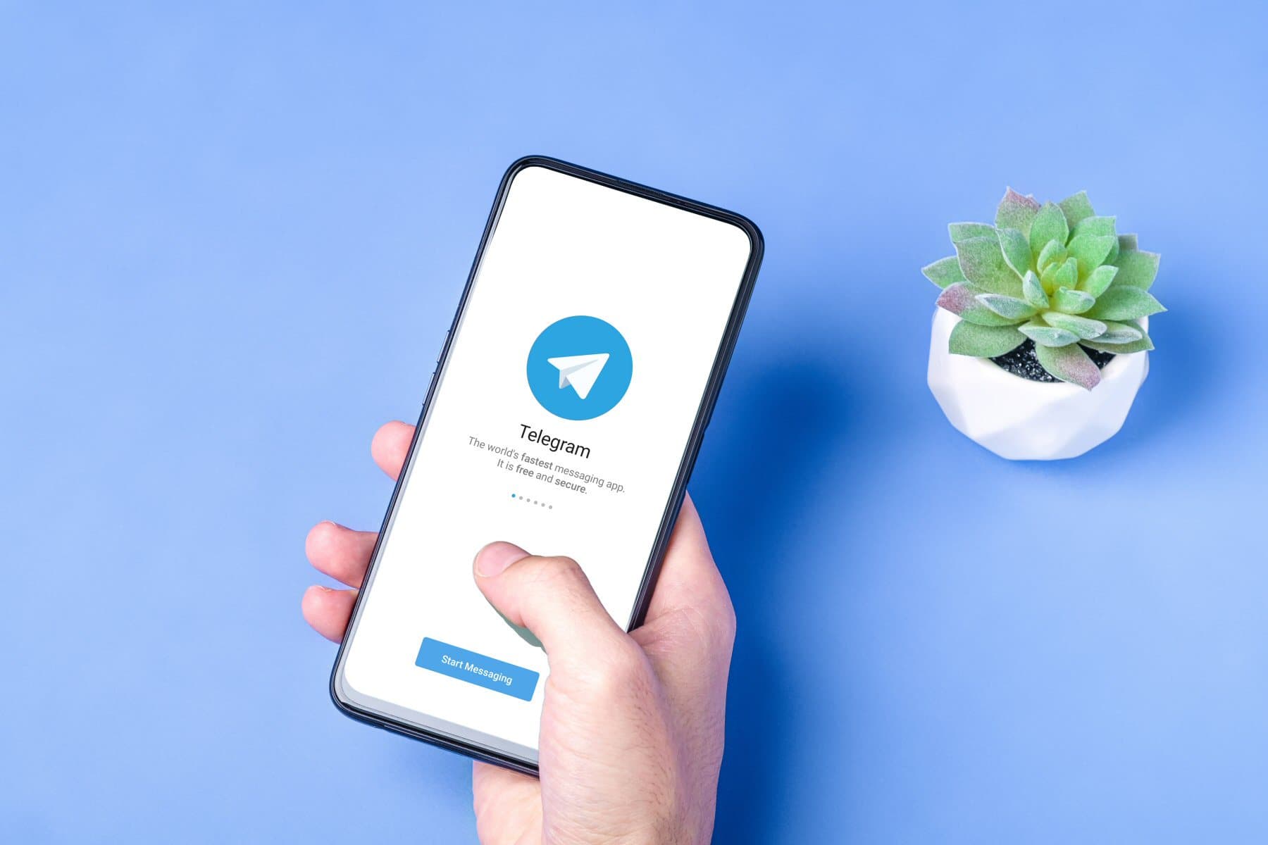  Telegram intelligent robots can be built even if there is no foundation｜No code practical guide