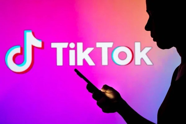 TikTok SMM 面板 vs 自然增长:哪个更适合你?